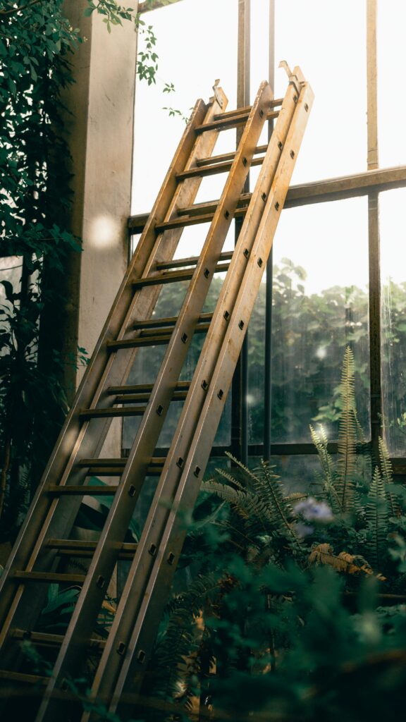 Atmospheric scene with ladder in sun-dappled greenhouse